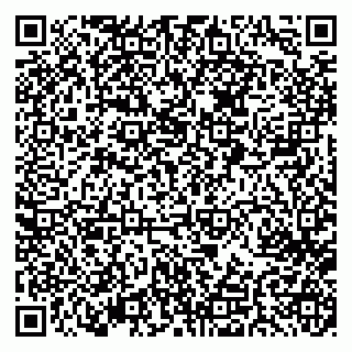 vCard 79022490332