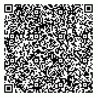 vCard 79022549330