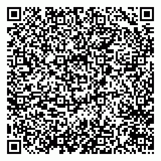 vCard 79022565987