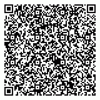 vCard 79022651297