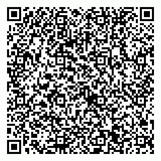 vCard 79022651321