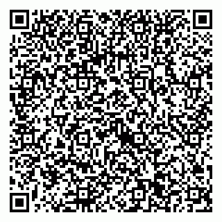vCard 79022651331