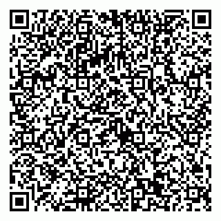 vCard 79022651386