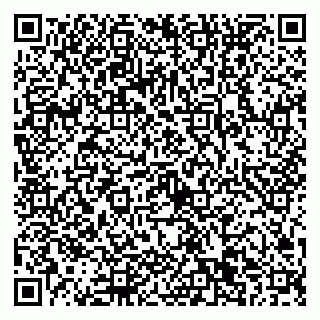 vCard 79022651507