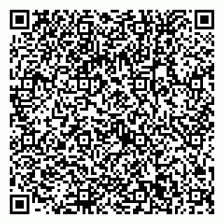 vCard 79022651873