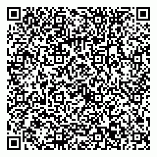 vCard 79022673903