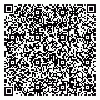 vCard 79022673919