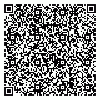 vCard 79022675233
