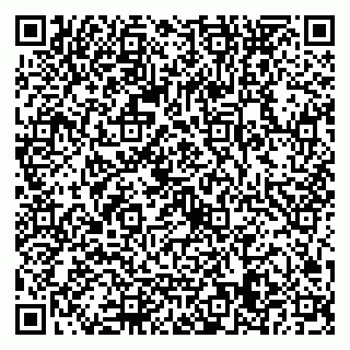 vCard 79022679181