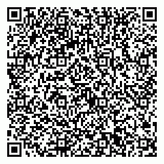 vCard 79022701713