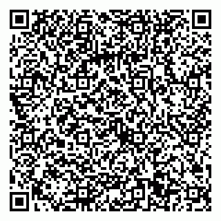 vCard 79022701729