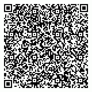 vCard 79022701737