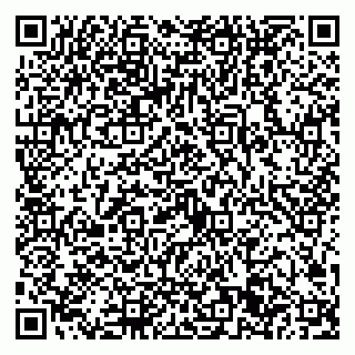 vCard 79022701780