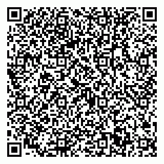 vCard 79022701809
