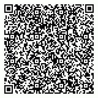 vCard 79022701811