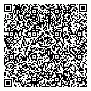 vCard 79022701963