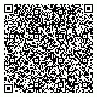 vCard 79022702029