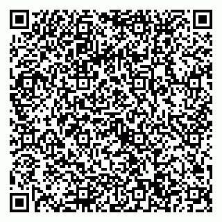 vCard 79022714131
