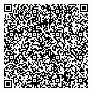vCard 79022779299