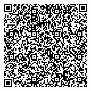 vCard 79022779321