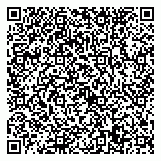 vCard 79022779329