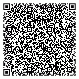 vCard 79022779333