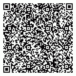 vCard 79022779334