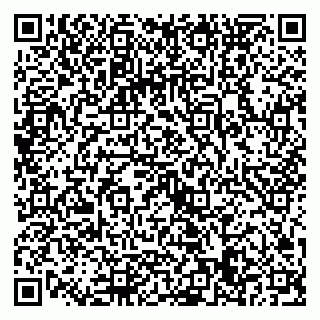 vCard 79022779381