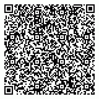 vCard 79022779382
