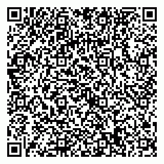 vCard 79022779387