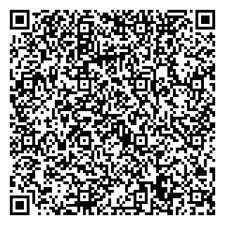 vCard 79022779389