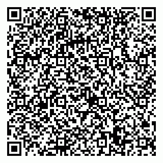 vCard 79022779399