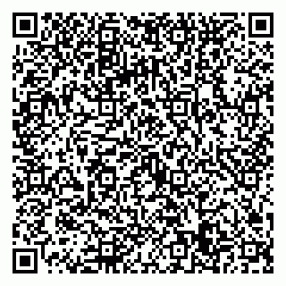 vCard 79022779411