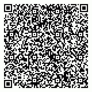 vCard 79022779413