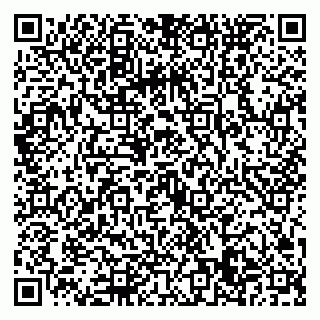 vCard 79022779521
