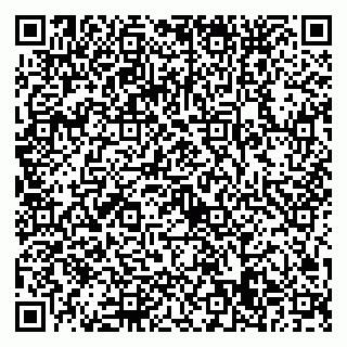vCard 79022779533