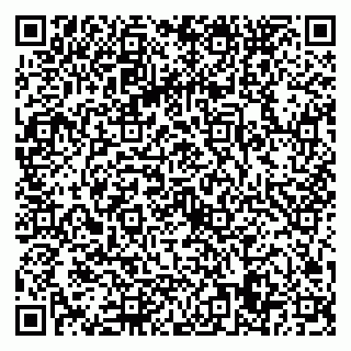 vCard 79022779629