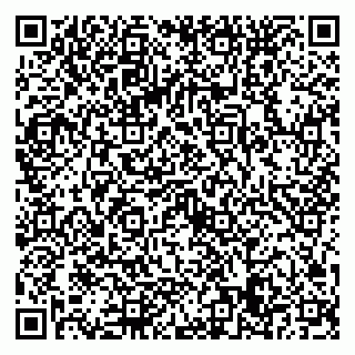 vCard 79022779631