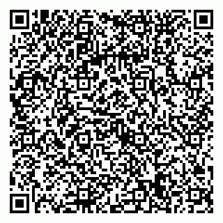 vCard 79022779633