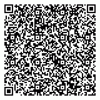 vCard 79022793249