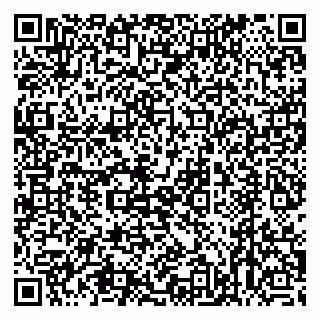 vCard 79022793273