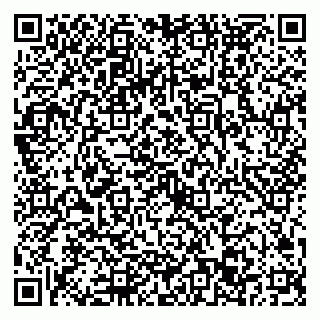 vCard 79022793281