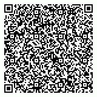 vCard 79022793293