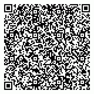 vCard 79022793295