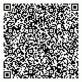 vCard 79022793301