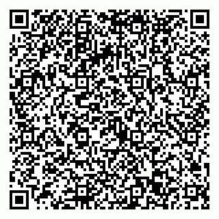 vCard 79022793302