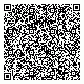 vCard 79022793309