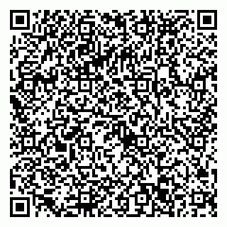 vCard 79022793313