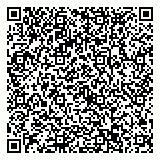 vCard 79022793317