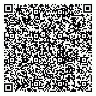 vCard 79022793319
